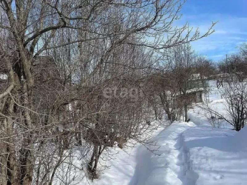 Участок в Нижегородская область, Дальнеконстантиновский муниципальный ... - Фото 0