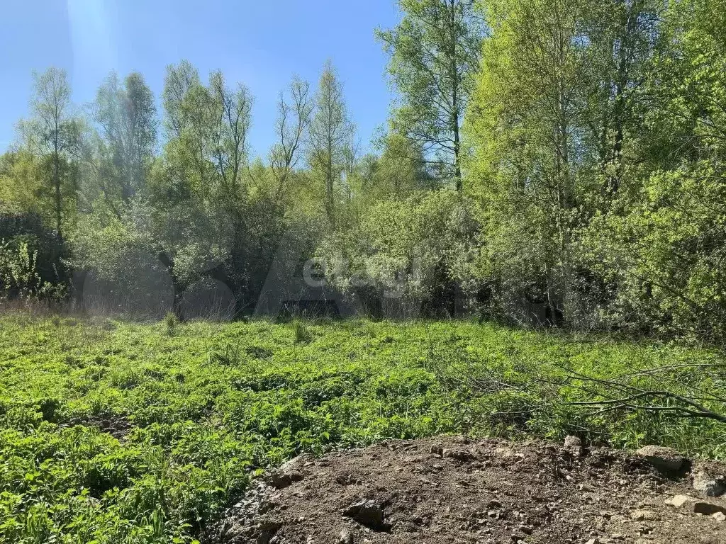 Участок 18,8 сот. (СНТ, ДНП) - Фото 1