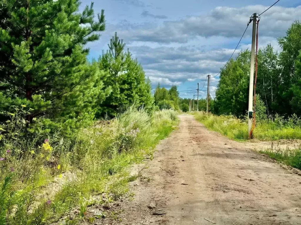 Участок в Тюменская область, Нижнетавдинский муниципальный округ, д. ... - Фото 1