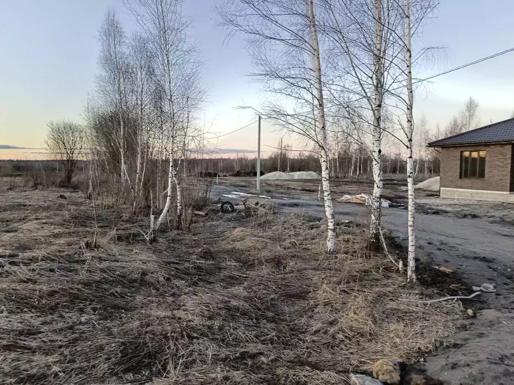 Участок в Брянская область, Брянский район, Снежское с/пос, с. ... - Фото 2