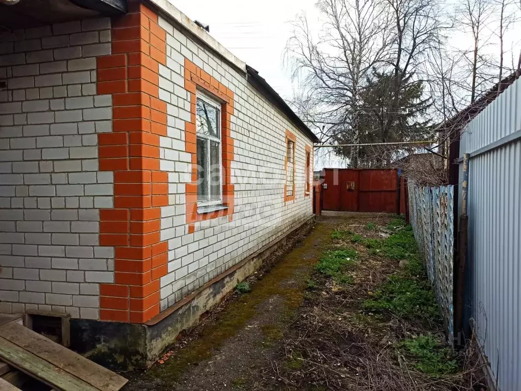 Дом в Курская область, Щигры Садовая ул., 10 (70 м) - Фото 0