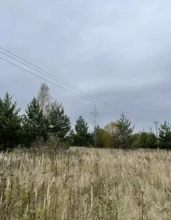 Участок в Нижегородская область, Нижний Новгород д. Кривая Шелокша,  ... - Фото 2