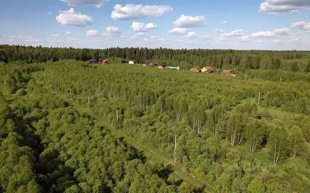 Участок в Московская область, Можайский городской округ, Лесные ... - Фото 1