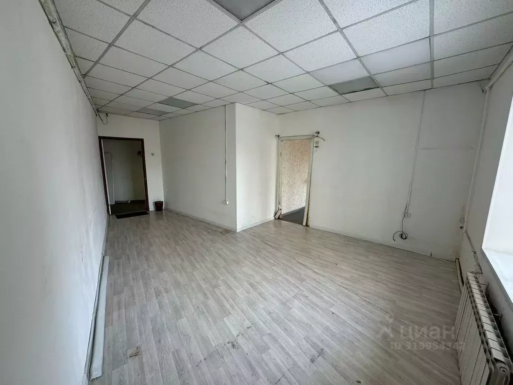 Помещение свободного назначения в Новосибирская область, Новосибирск ... - Фото 0
