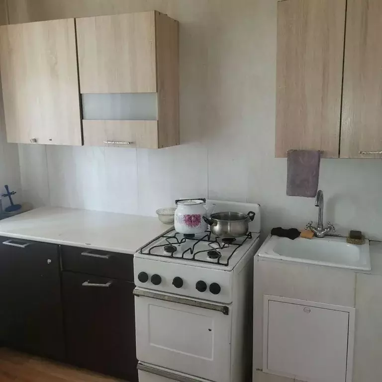 3-к кв. Ленинградская область, Сланцы пос. Большие Лучки, ул. ... - Фото 1