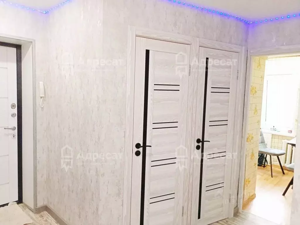 2-к кв. Волгоградская область, Волгоград ул. Кирова, 117 (47.9 м) - Фото 1