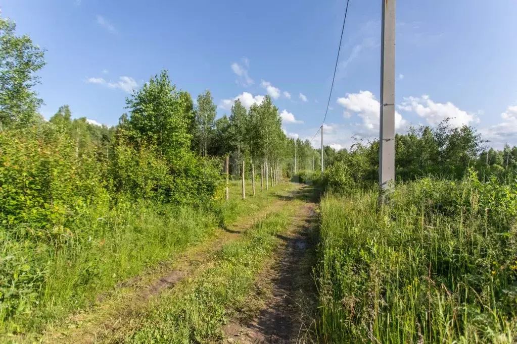 Участок в Тюменская область, Тобольский муниципальный округ, ... - Фото 1