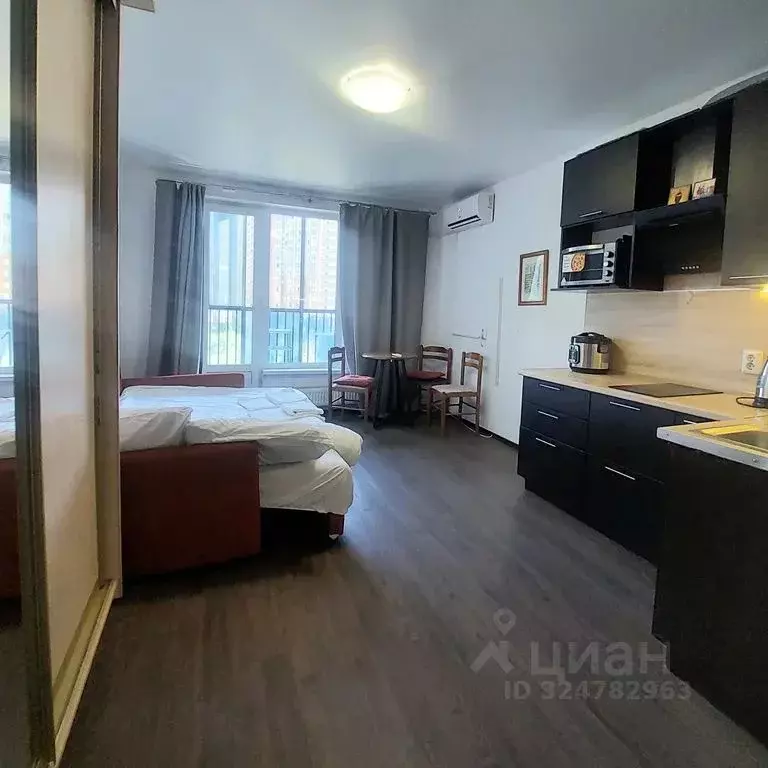 Студия Санкт-Петербург Комендантский просп., 55к1 (28.0 м) - Фото 1