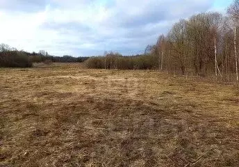 Участок в Калужская область, Ульяново с/пос, с. Медынцево  (3554.62 ... - Фото 2