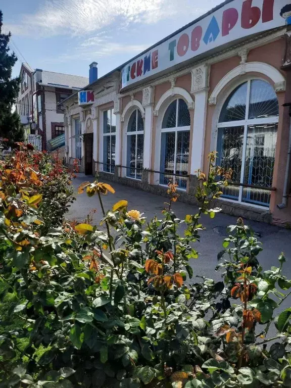 Помещение свободного назначения в Крым, Джанкой ул. Калинина, 23 (295 ... - Фото 1