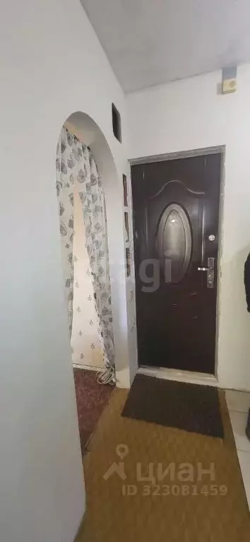 1-к кв. Новосибирская область, Новосибирск ул. Петухова, 144 (30.0 м) - Фото 2