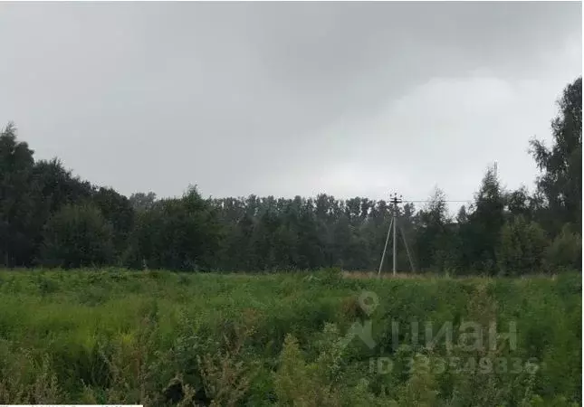 Участок в Московская область, Дмитровский муниципальный округ, д. ... - Фото 1