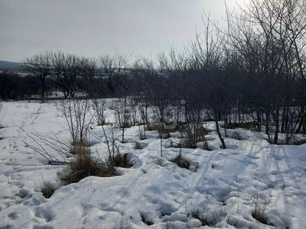 Участок в Белгородская область, Губкинский городской округ, с. Осколец ... - Фото 1