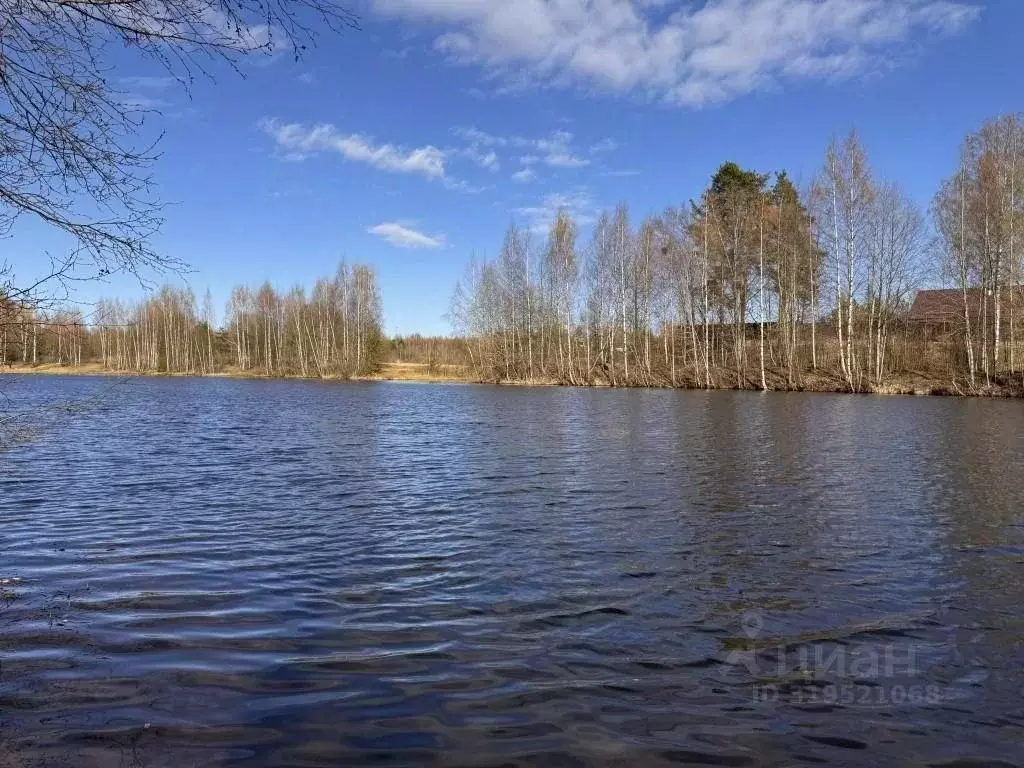 Участок в Ленинградская область, Всеволожский район, Сертоловское ... - Фото 0