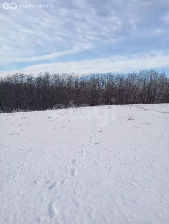 Участок в село Стрелецкое, микрорайон Стрелецкое-72 (19 м) - Фото 1