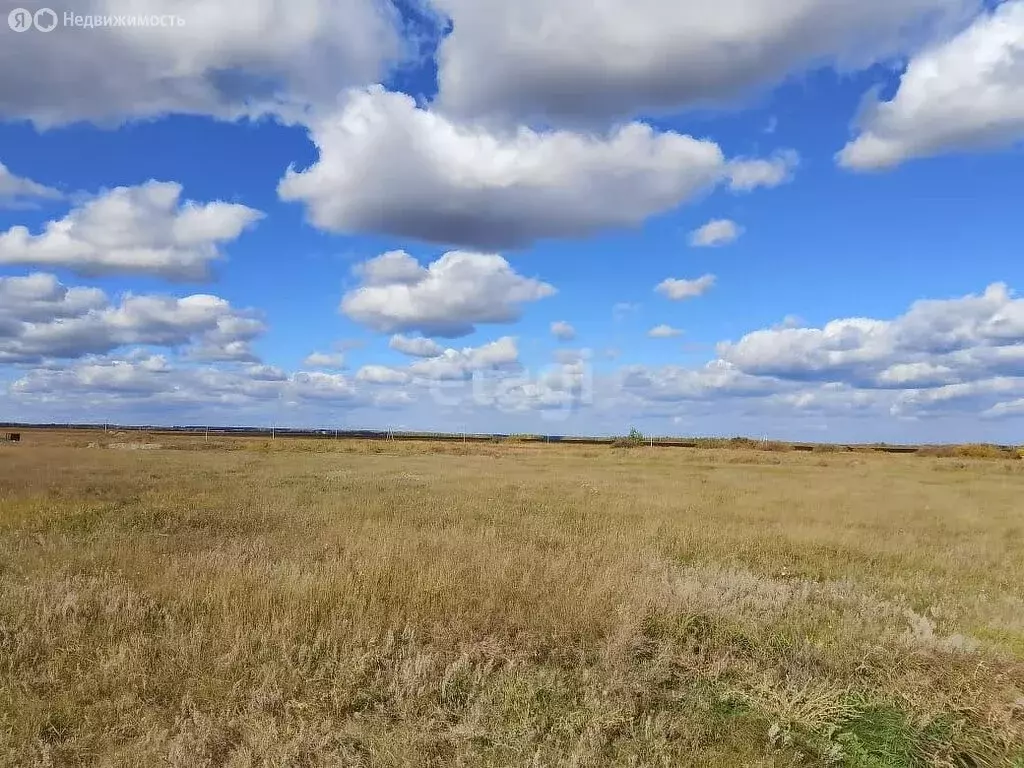 Участок в Курганская область, Кетовский муниципальный округ, село ... - Фото 0