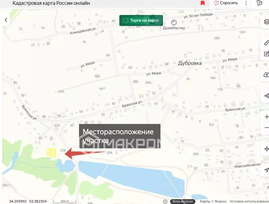 Участок в Брянская область, Брянский район, Новодарковичское с/пос, д. ... - Фото 1