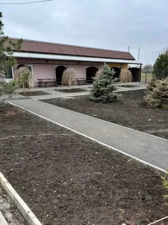 Помещение свободного назначения в Ростовская область, Неклиновский ... - Фото 2