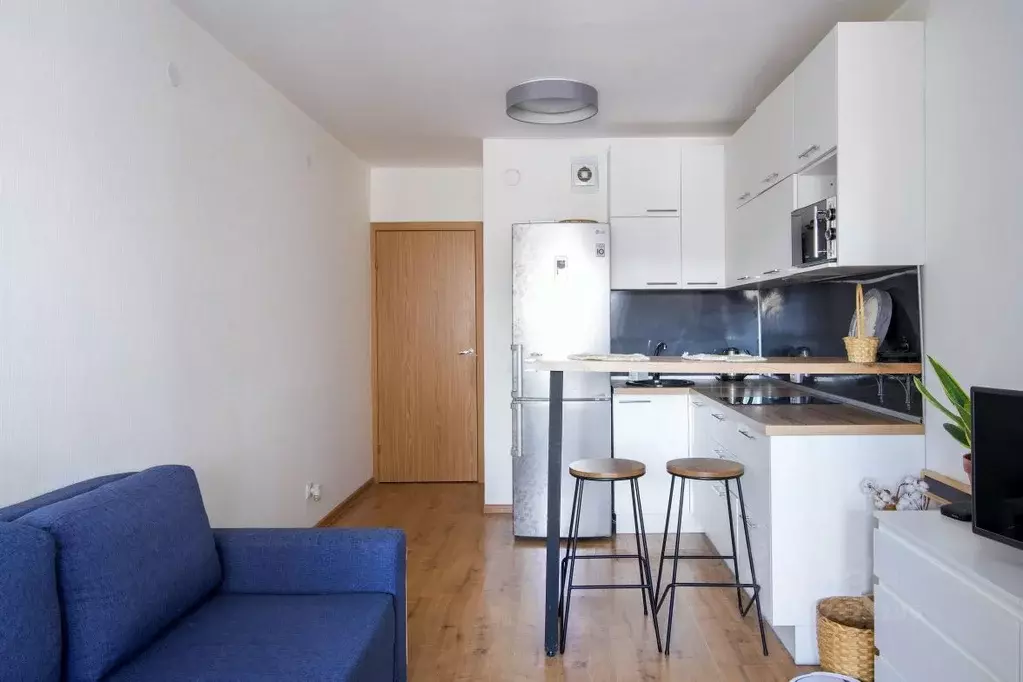 Студия Санкт-Петербург Усть-Славянка тер., ул. Славянская, 20 (25.1 м) - Фото 2