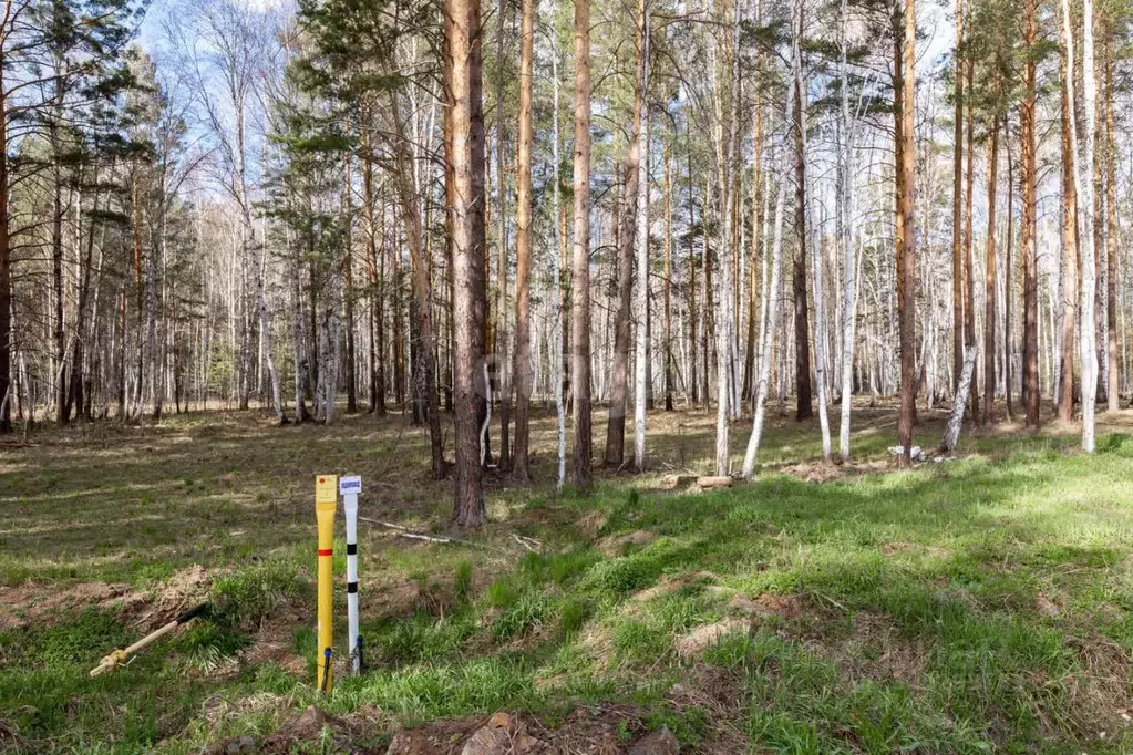 Участок в Свердловская область, Сысертский муниципальный округ, пос. ... - Фото 1
