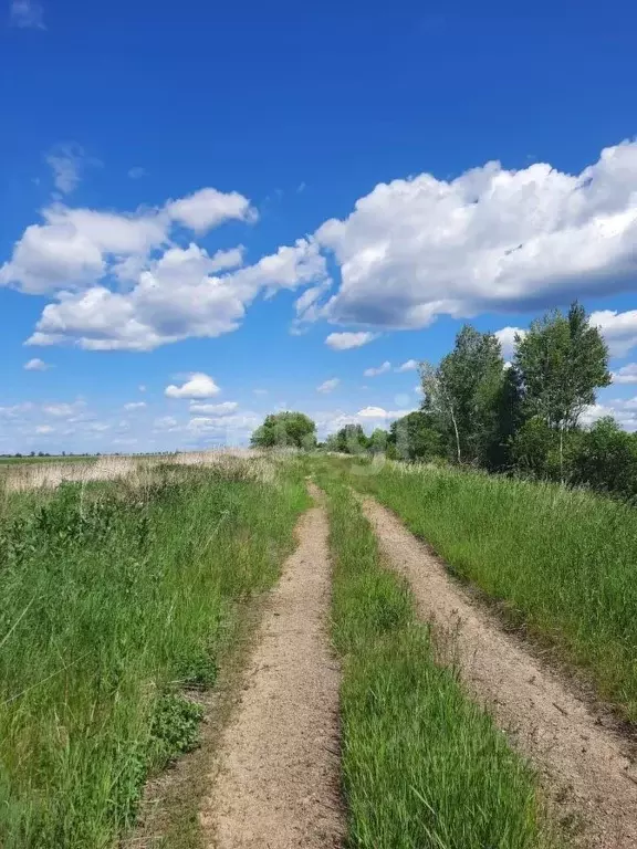 Участок в Хабаровский край, Хабаровский район, с. Дружба  (10.2 сот.) - Фото 1