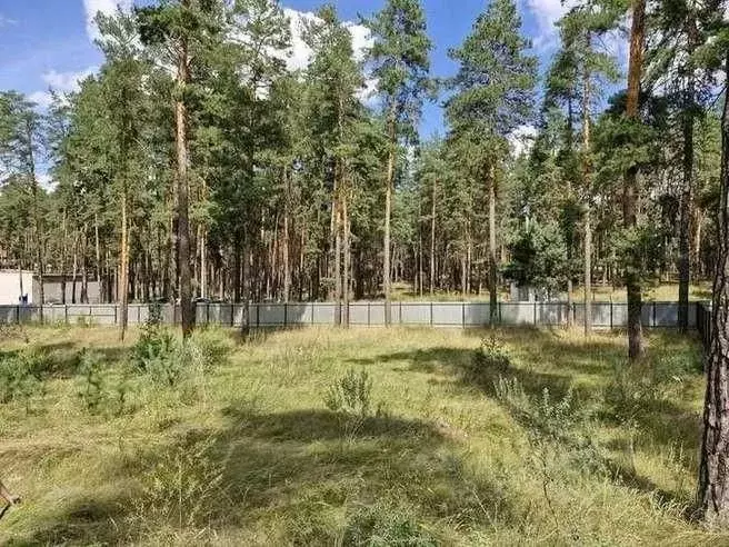 Участок в Самарская область, Красноярский район, Волжский рп ул. ... - Фото 2