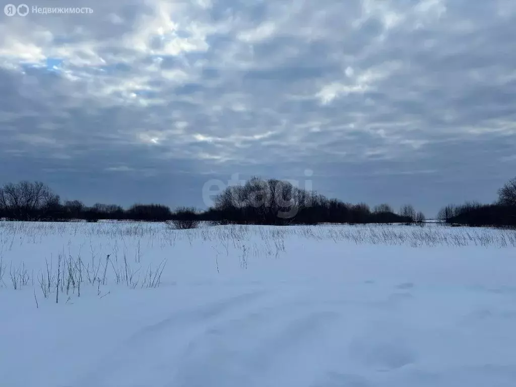 Участок в Архангельск, микрорайон Зеленец (7.58 м) - Фото 1