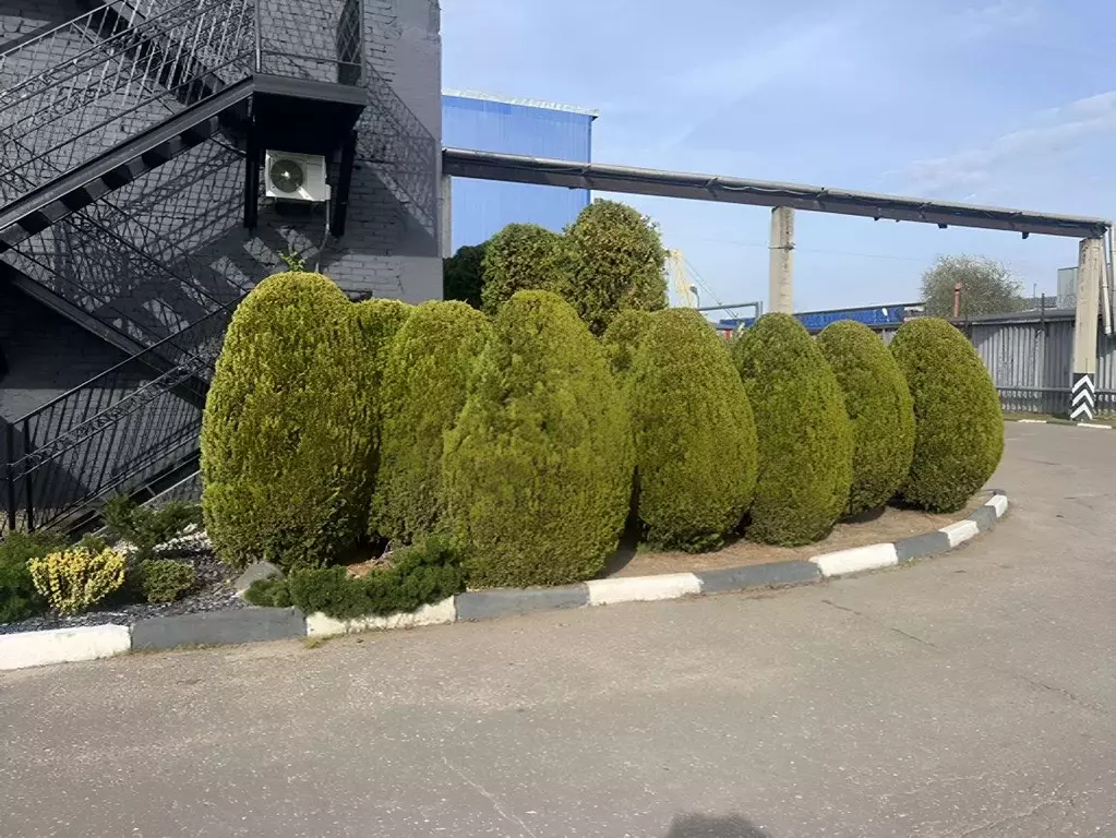 Офис в Московская область, Электросталь Строительный пер., 2 (16 м) - Фото 1