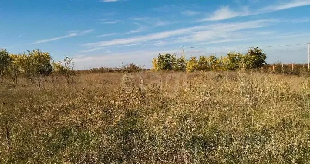 Участок в Крым, Кировский район, с. Абрикосовка ул. Сосновая (6.0 ... - Фото 1