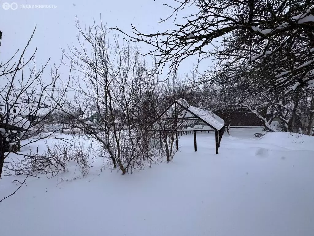 Участок в Тверь, улица Соревнования, 23 (6.2 м) - Фото 2