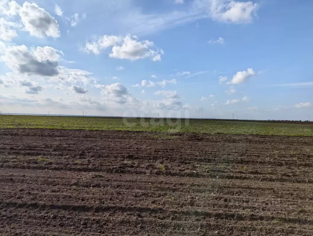 Участок в Крым, Черноморский район, Оленевское с/пос, с. Оленевка  ... - Фото 1