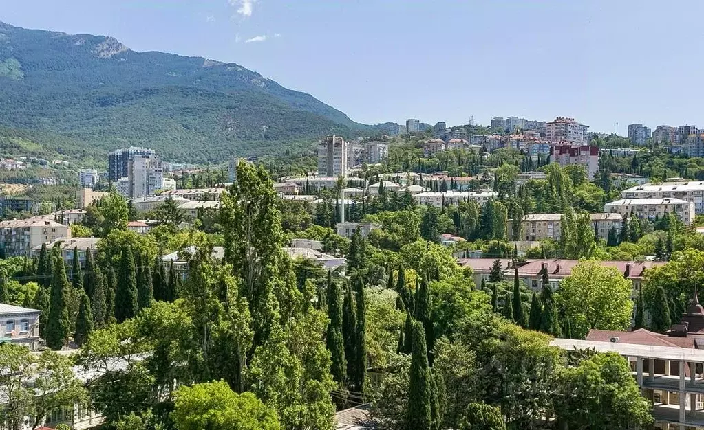 Студия Крым, Ялта ул. Киевская, 44 (37.0 м) - Фото 2