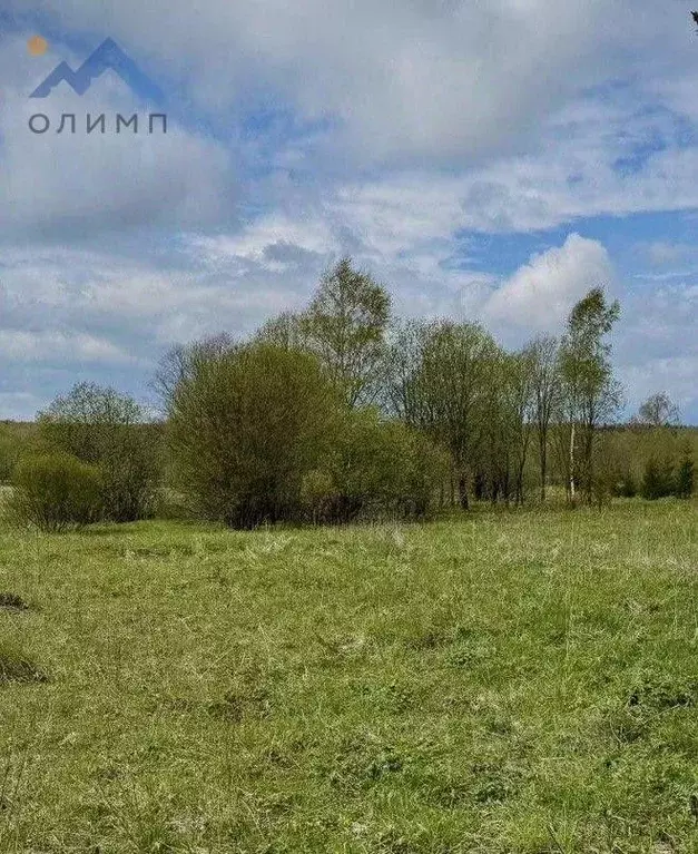 Участок в Ярославская область, Ярославский район, Кузнечихинское ... - Фото 1