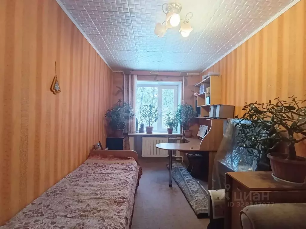 2-к кв. Камчатский край, Елизовский муниципальный округ, пос. ... - Фото 2