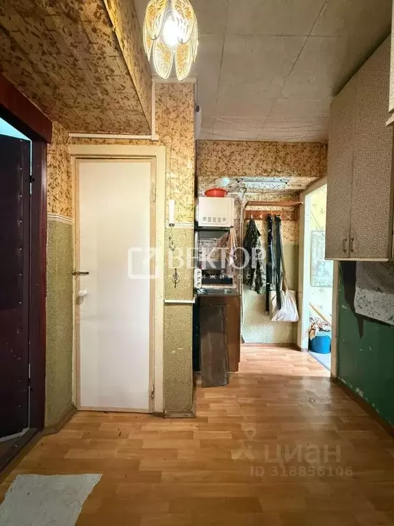 2-к кв. Костромская область, Кострома Центральная ул., 48 (22.4 м) - Фото 0