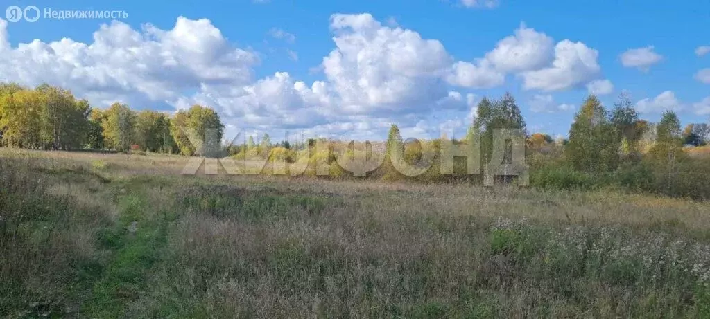 Участок в Болотное, Поселковая улица (6 м) - Фото 1