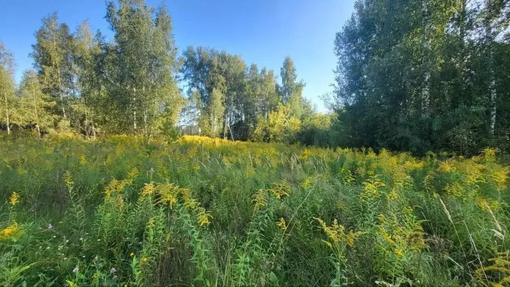 Участок в Тульская область, Тула пос. Восточный,  (15.0 сот.) - Фото 1