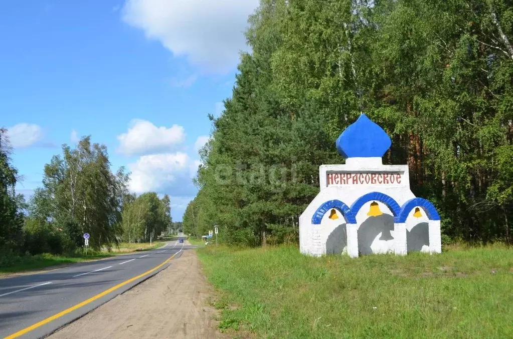 Некрасовское сельское поселение ярославская область. Некрасовское сельское поселение.