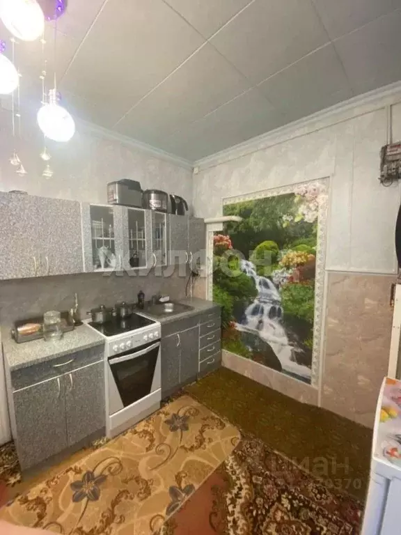 Дом в Красноярский край, Ермаковский сельсовет, с. Ермаковское ул. ... - Фото 2