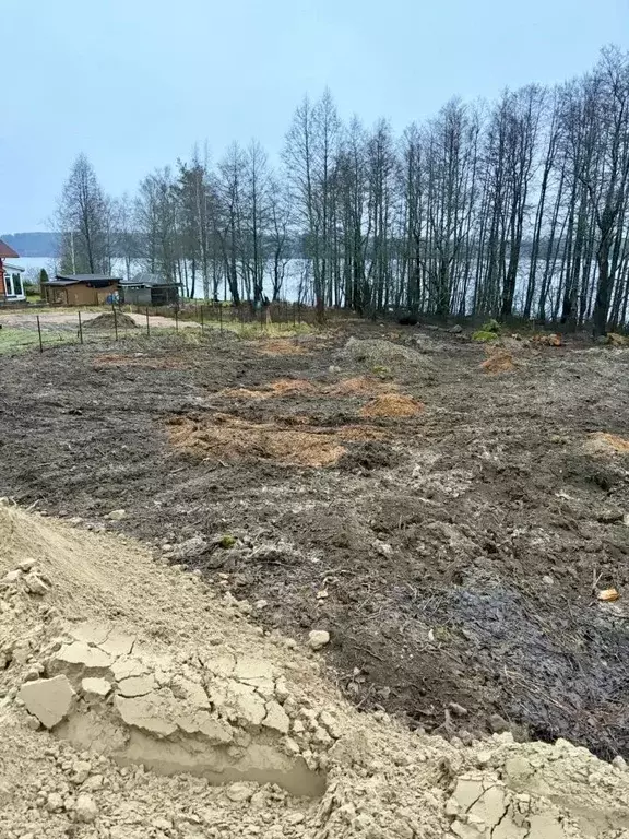 Участок в Ленинградская область, Выборгский район, Красносельское ... - Фото 2
