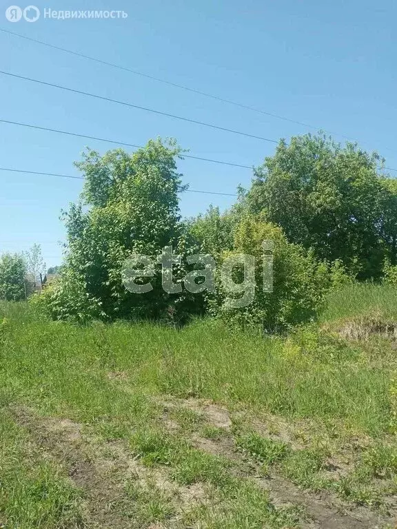 Участок в село Алтайское, Цветочная улица (16 м) - Фото 2