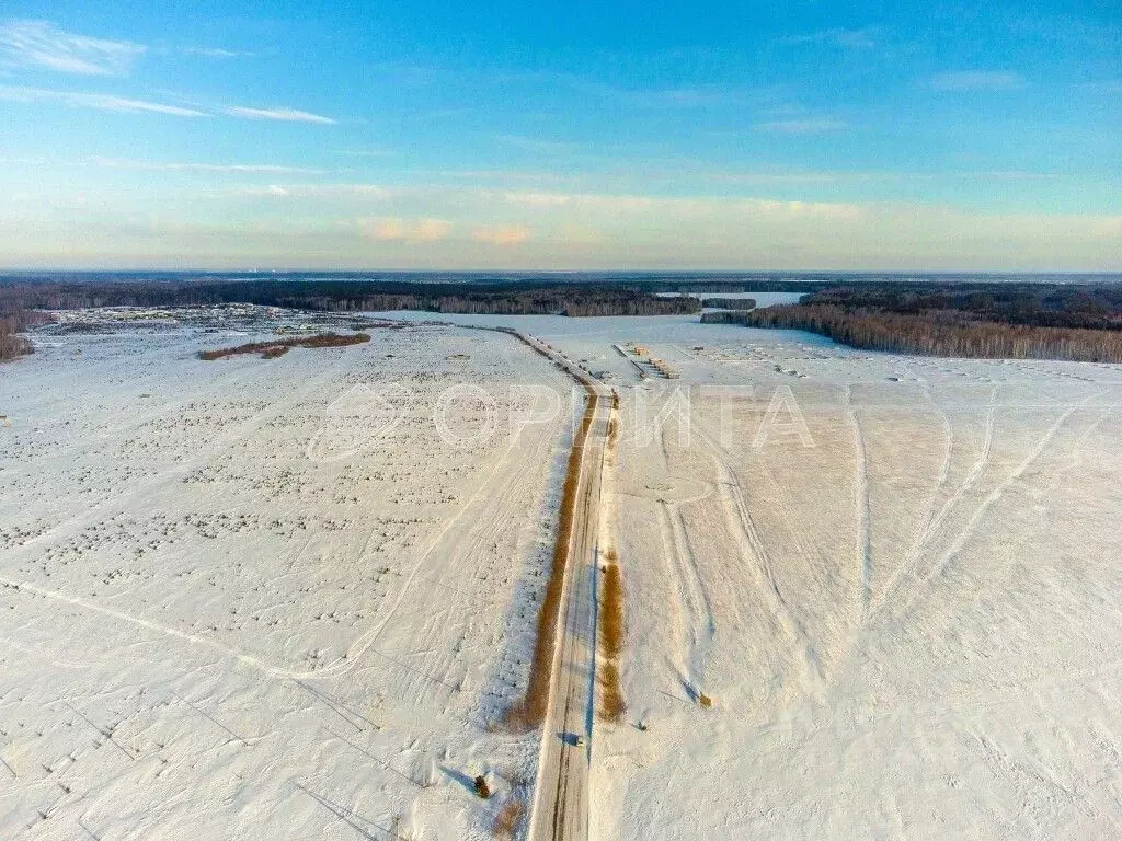 Участок в Тюменская область, Тюменский муниципальный округ, с. Кулига  ... - Фото 2