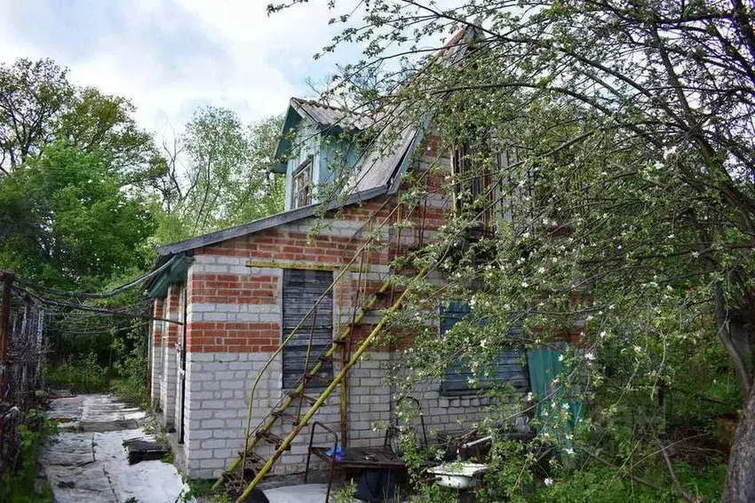 Радчино Рамонский Район Купить Дачу