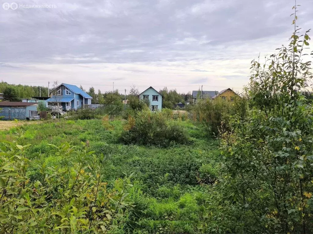 Участок в Кировский район, Синявинское городское поселение, ... - Фото 0