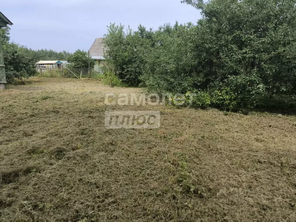 Участок в Московская область, Солнечногорск городской округ, д. ... - Фото 0