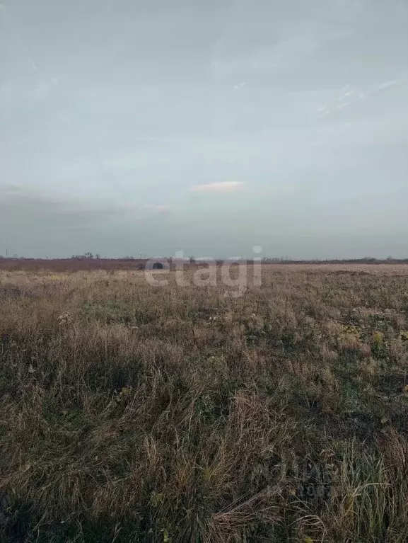 Участок в Калининградская область, Гурьевский муниципальный округ, ... - Фото 0