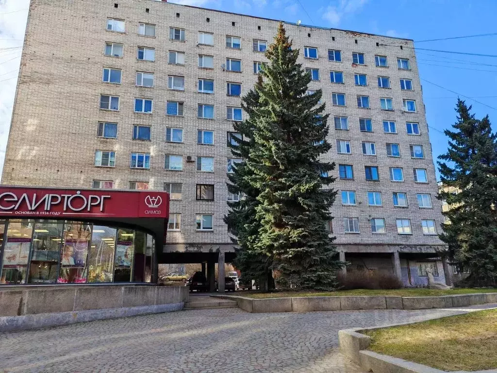 1-к кв. Ленинградская область, Выборг Крепостная ул., 43 (25.0 м) - Фото 1