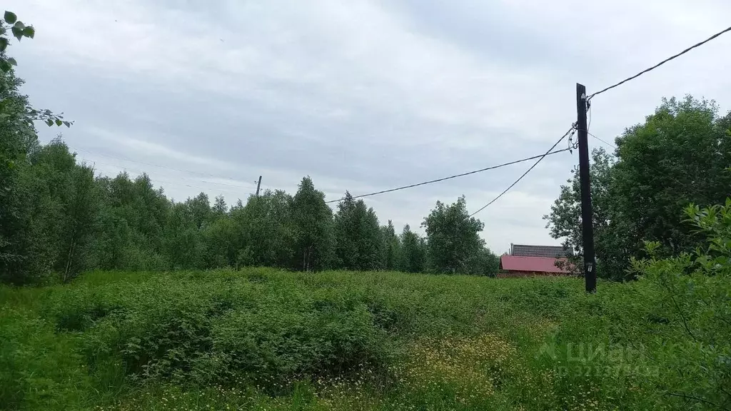 Участок в Мурманская область, Кольский район, Пушной с/пос, Тайбола ... - Фото 1