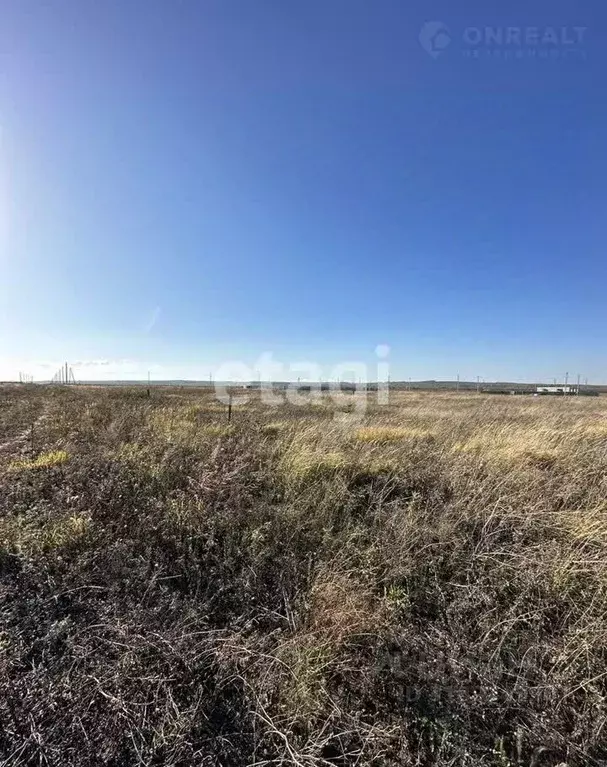 Участок в Татарстан, Тукаевский район, с. Бетьки  (10.0 сот.) - Фото 0