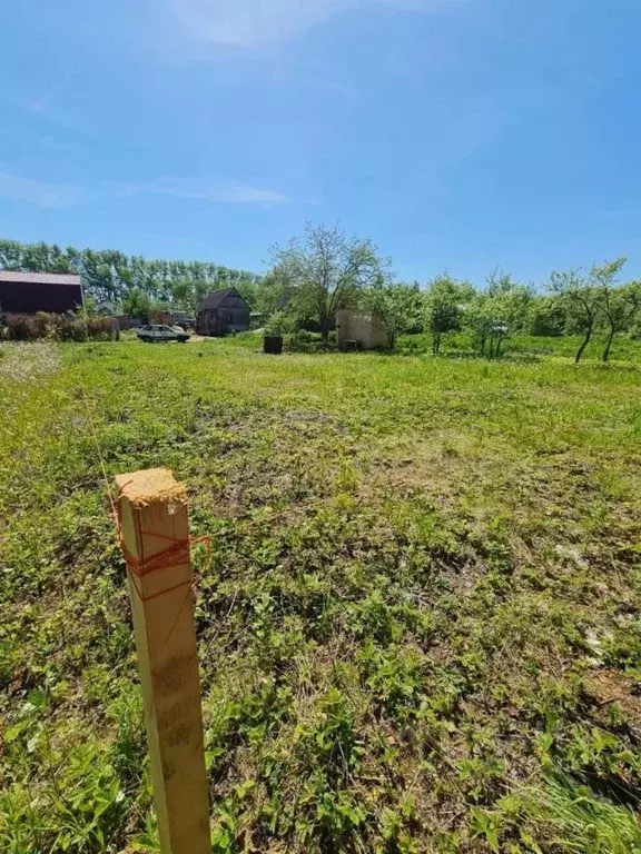 Участок в Владимирская область, Суздальский район, Новоалександровское ... - Фото 1